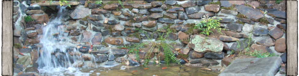 Water features can add both beauty and sense of serenity to an outdoor patio or landscape.